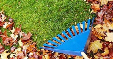 Stire din Diverse : Lucrări de sezon în mica ta grădină
