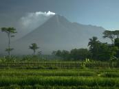 Peste 50 de morți, după o nouă erupție a vulcanului Merapi