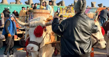 Constănțenii, prezenți în număr mare la slujba de Bobotează oficiată de ÎPS Teodosie - 8
