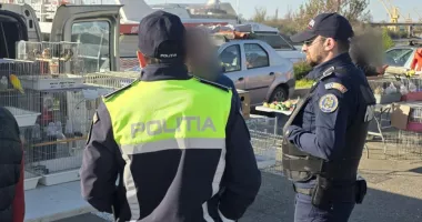 Razie în forță în târgurile din Mangalia. Tone de alimente retrase și amenzi de zeci de mii de lei - 3