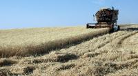 Stire din Economie : Evaziunea fiscală din agricultură dă bătăi de cap statului român