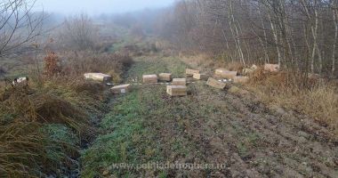 16.400 pachete cu țigări, confiscate la frontieră