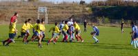 Stire din Sport : Rugby-ul a cucerit un nou teritoriu: Murfatlar