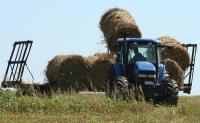 Stire din Economie : Samsarii fac legea în agricultură