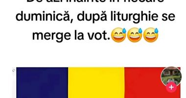 Românii nu și-au pierdut simțul umorului. Internetul s-a umplut de meme după anularea alegerilor - 4