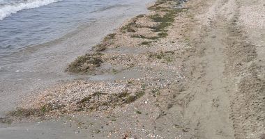 Stire din Social : Intensitatea depunerii algale a scăzut semnificativ! Iată ce spun specialiștii
