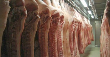 Stire din Economie : Noi prevederi de la 1 ianuarie 2013. Abatoarele, obligate să aibă un responsabil cu bunăstarea animalelor