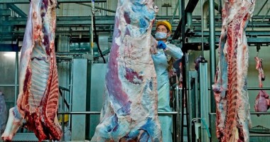 Stire din Economie : România va avea o linie verde unde să se anunțe tăierile ilegale de carne