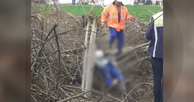 Stire din Eveniment : Muncitor mort după ce un stâlp s-a prăbușit peste el. Anchetă deschisă pentru accident de muncă