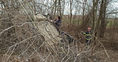 A intrat în copac! Accident soldat cu doi răniți - 2