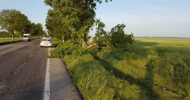 GALERIE FOTO / Accident rutier la intrare în Amzacea, județul Constanța - 2