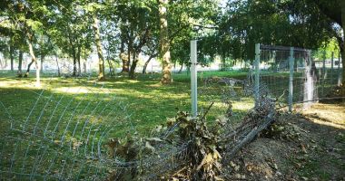 Acte de vandalism în Parcul Tăbăcărie. Primăria face apel la cetățeni