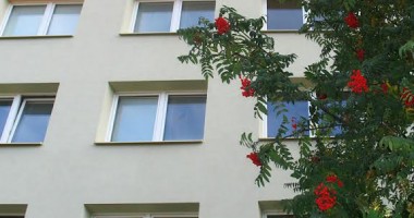Stire din Cetățenești : Acte necesare  pentru mutație