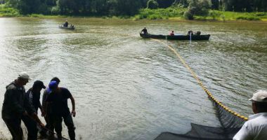Stire din Economie : Acțiune de salvare a puietului de pește în județul Giurgiu