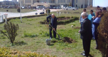 Universitatea "Ovidius"/ Rectorul a plantat un pom