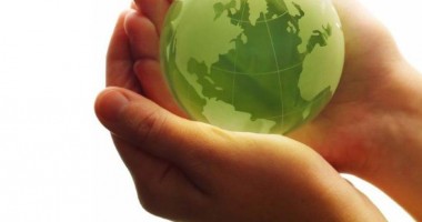 Stire din Cultură-Educație : Acțiuni ale elevilor de Ziua Mediului
