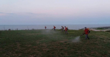 Stire din Social : CONSTANȚA SCAPĂ DE INSECTE! Acțiuni de dezinsecție și deratizare, în tot orașul