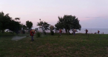 CONSTANȚA SCAPĂ DE INSECTE! Acțiuni de dezinsecție și deratizare, în tot orașul - 2