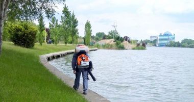 Acțiunile de dezinsecție, intensificate, la Constanța - 2