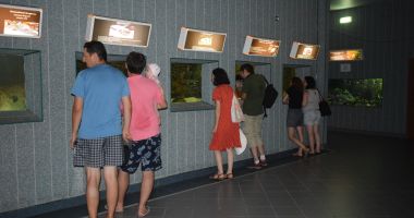 O adevărată încântare: Acvariul Constanța - 14