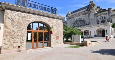 O adevărată încântare: Acvariul Constanța - 3