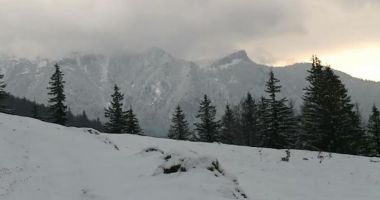 Avalanșă 