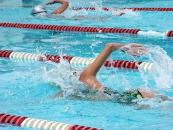 Stire din Sport : "Delfinii" au înotat cu spor în bazinul de la Baia Mare