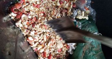 Ciuperci expuse la vânzare în piaţă, cu risc pentru consumatori, confiscate şi distruse de inspectorii sanitar-veterinari