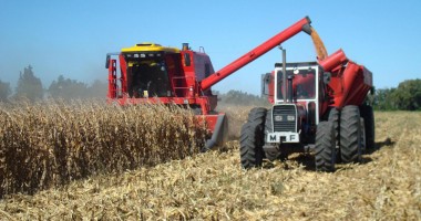 Stire din Economie : Adevărații beneficiari ai pariului cu agricultura
