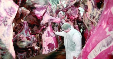Stire din Actualitate : Autoritățile din Grecia au descoperit ADN de cal în carne de vită importată din Romania