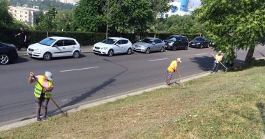 Administrația locală a dat startul întreținerii spațiilor verzi - 2