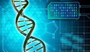 A fost descoperită cea mai veche secvență de ADN din lume. Are două milioane de ani