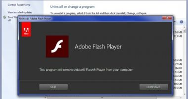 Stire din Tehnologie : Adobe Flash Player a încetat să funcționeze oficial