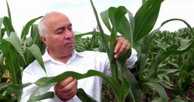 Stire din Economie : Adrian Rădulescu revine la cârma Asociației Fermierilor din România