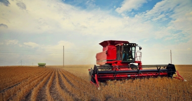 Stire din Eveniment : Afaceri necurate în agricultură! Cum "storceau" bani necuveniți de la APIA