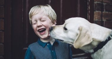 Stire din Fun : Afaceri cu un câine inteligent