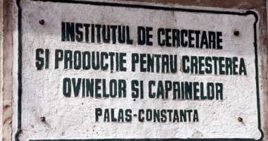 A fost aprobată reorganizarea Institutului de Cercetare-Dezvoltare pentru Creșterea Ovinelor și Caprinelor - Palas - 4