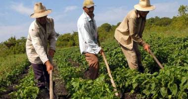 Stire din Economie : A fost aprobat registrul agricol pentru perioada 2015-2019