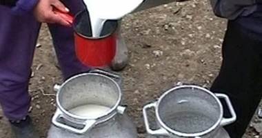 Stire din Economie : Agenții economici din industria laptelui trebuie să depună declarațiile anuale