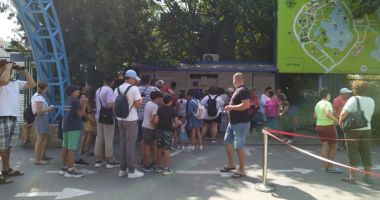 Stire din Social : În continuare, aglomerație la Delfinariul din Constanța. În week-end se suplimentează reprezentațiile cu delfinii și leii de mare