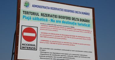 Aglomeraţie mare pe plajele sălbatice din sudul Rezervației Biosferei Delta Dunării - 4