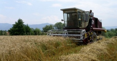 Stire din Economie : Buletin agrometeorologic. Semne bune pentru agricultorii constănțeni
