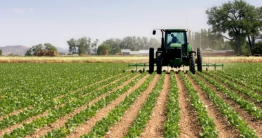 Stire din Social : Termenul de solicitare a ajutorului  pentru motorină pentru agricultori, prelungit