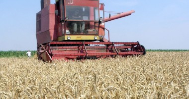 Stire din Economie : Agricultorii trebuie să-și declare veniturile pe 2014
