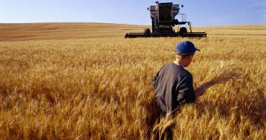 Stire din Social : ITM. Ce au găsit inspectorii de muncă la angajatorii din agricultură