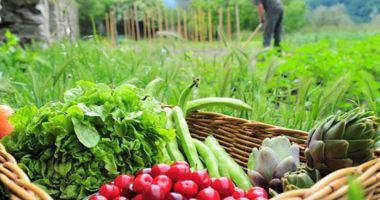 Stire din Economie : Vești bune pentru fermieri. Vin banii - plăți compensatorii de dezvoltare rurală. Suma este uriașă!
