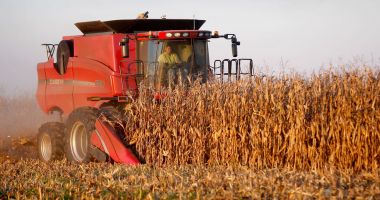 Stire din Economie : Agricultorii, în alertă! Ce culturi vor fi afectate de seceta extremă