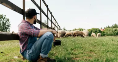 Stire din Economie : Vremuri negre pentru fermieri! Concurența străină și costurile uriașe îi sufocă