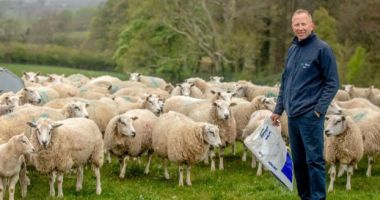 Stire din Economie : Sprijin financiar în valoare de aproape patru milioane lei pentru crescătorii de animale