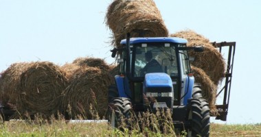 Stire din Economie : La ce să se aștepte în această săptămână agricultorii din Dobrogea